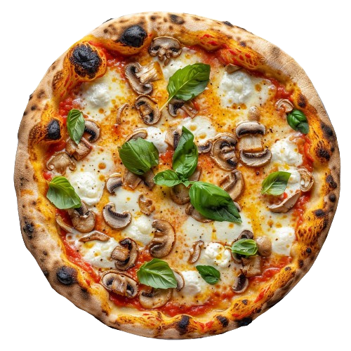 MONTANARA